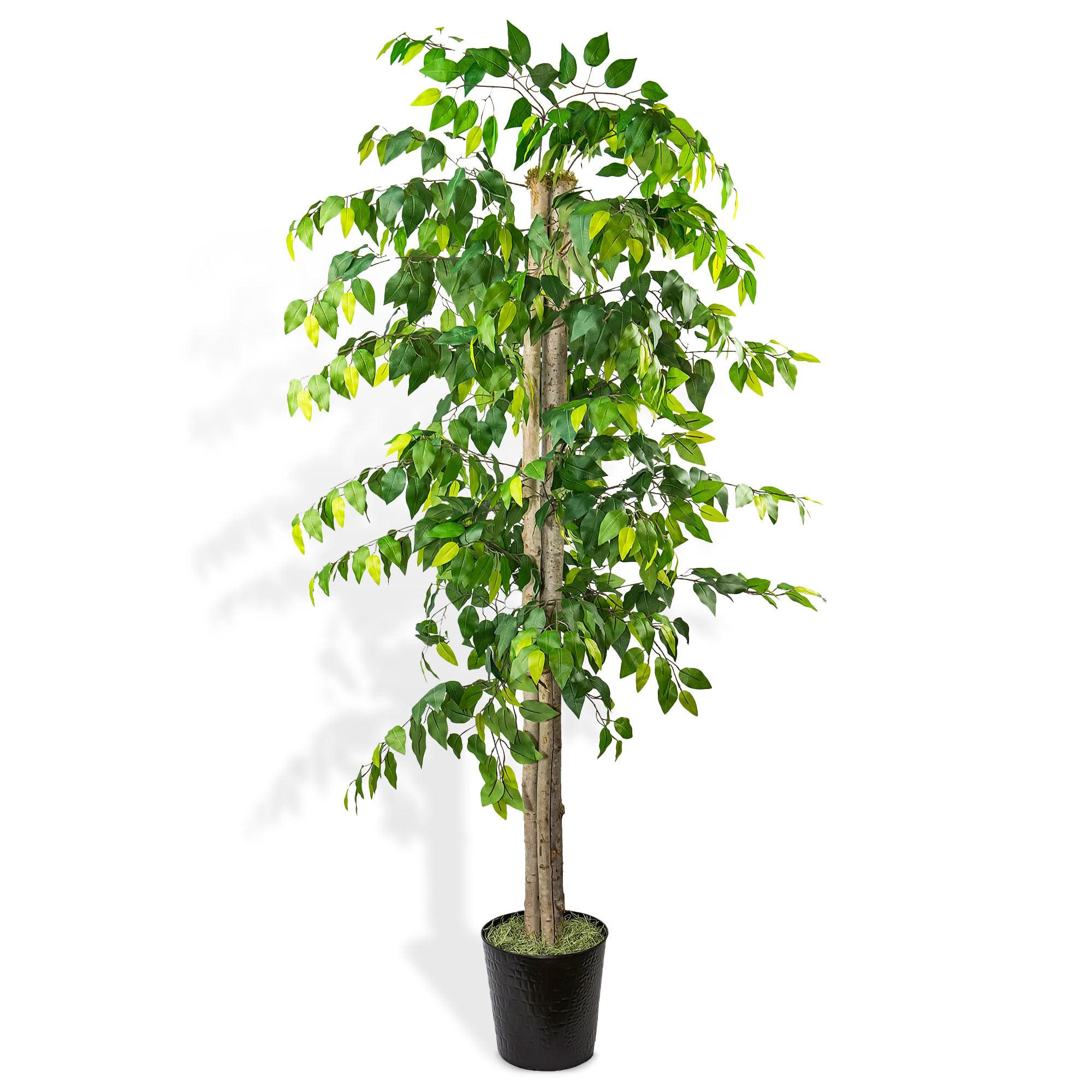 Premium 6FT Artificial Ficus Tree with Real-Wood Trunk & Black Metal Pot - Indoor Outdoor Faux Plant for Home, Office, Patio Decor - Perfect for Living Room, Bedroom, Balcony & Garden Spaces (Deluxe Edition)