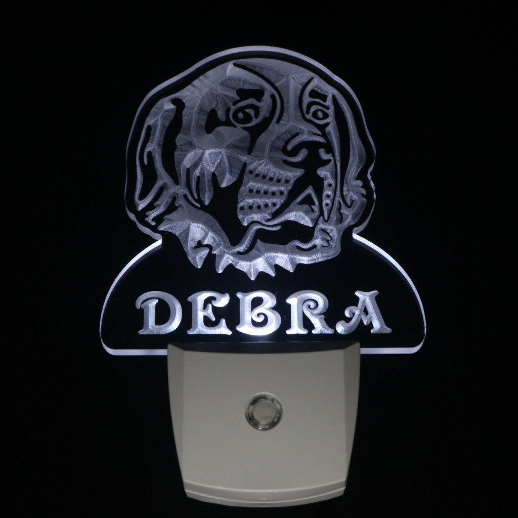 ADVPRO WS1085-TM Personalized Saint Bernard Night Light with Name - LED Sign with Day/Night Sensor for Kids Room, Nursery & Bedroom Decor