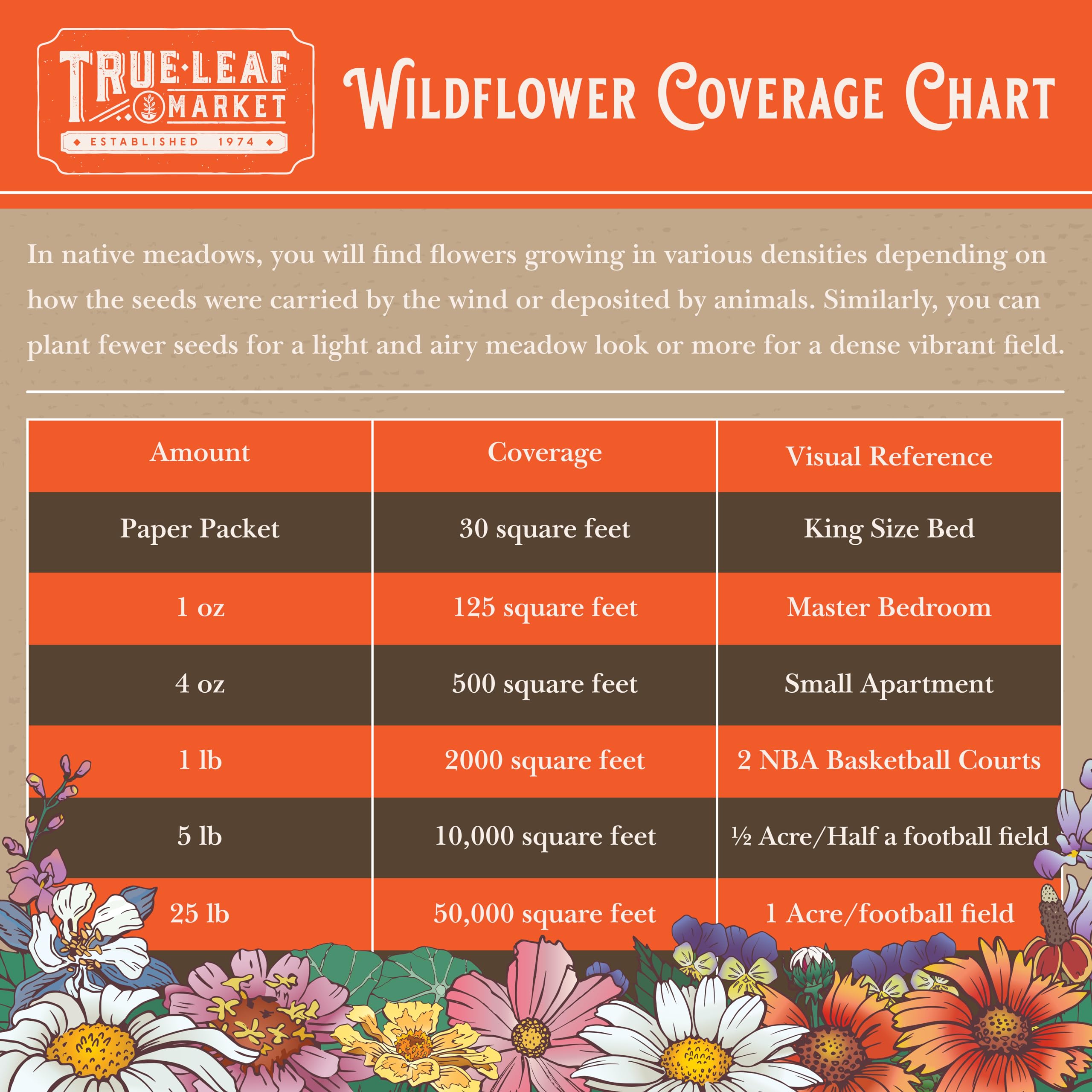 All Annual Wildflower Mix Seeds for Planting - 1 Lb ~16,000+ Seeds - 21 Varieties Including California Poppy, Indian Blanket & Scarlet Flax - Attracts Bees & Butterflies - Bulk Wildflower Seeds for Gardens, Meadows & Pollinator Habitats