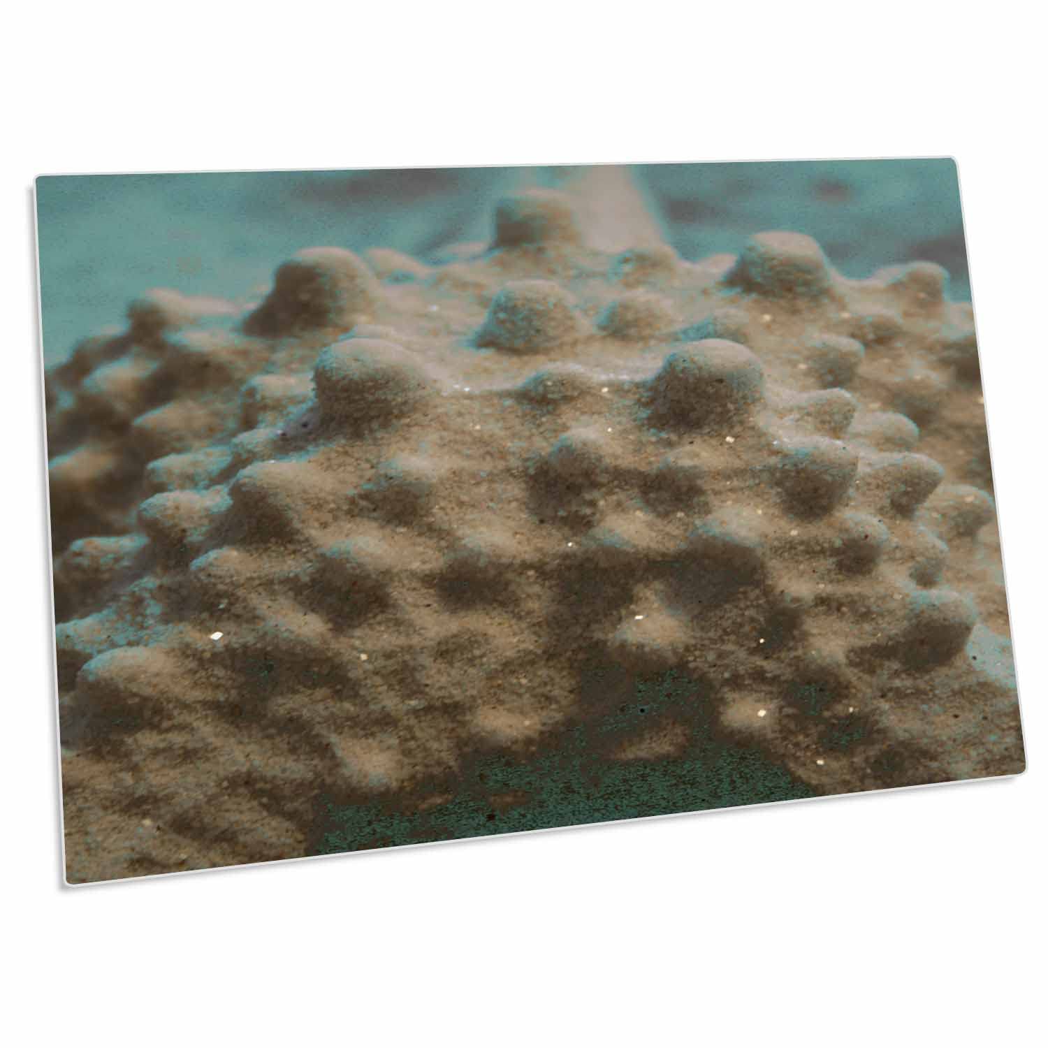 3D Rose Pastel Starfish Skeleton Teal and Black Non-Slip Desk Pad Placemats Set of 4 - Waterproof Table Mats for Dining, Office, Kitchen Decor - dpd-156168-1