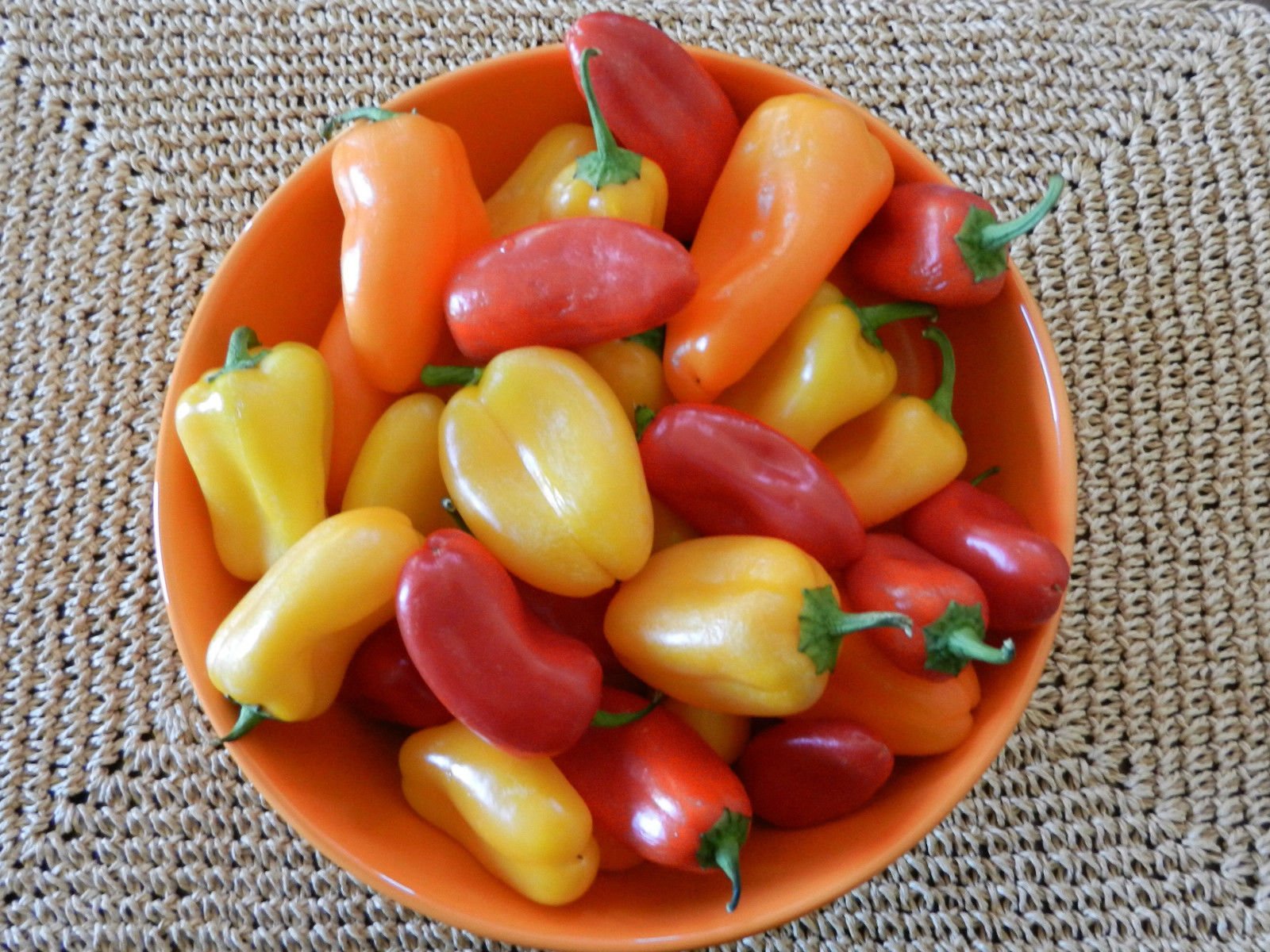Mini Bell Pepper Seeds Mix - Sweet Colorful Peppers for Pots, Containers & Patio Gardens (10 Seeds) - Perfect for Salads, Snacking & Homegrown Organic Vegetables