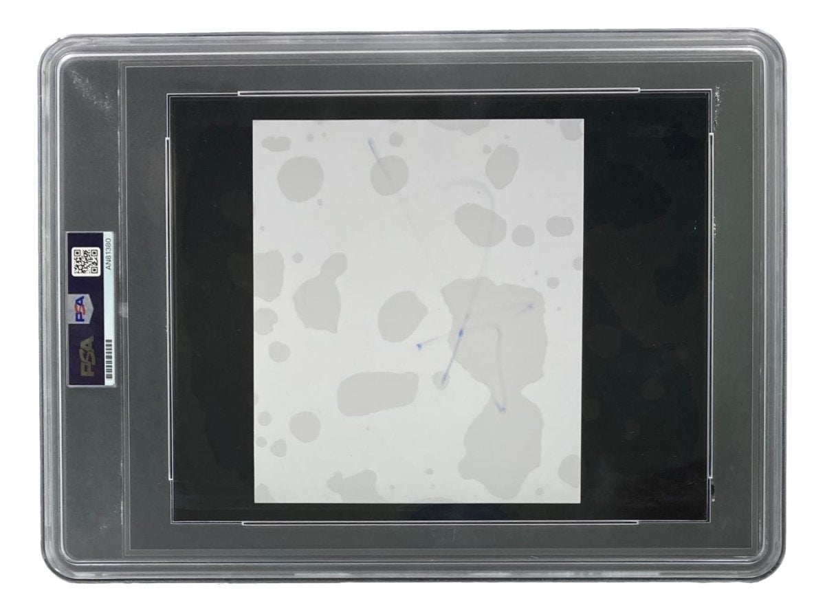 John Cena Autographed WWE Wrestling Memorabilia - PSA Certified Slabbed Large Cut Signature (AN81380) - Perfect for Collectors, Fans & Sports Memorabilia Displays