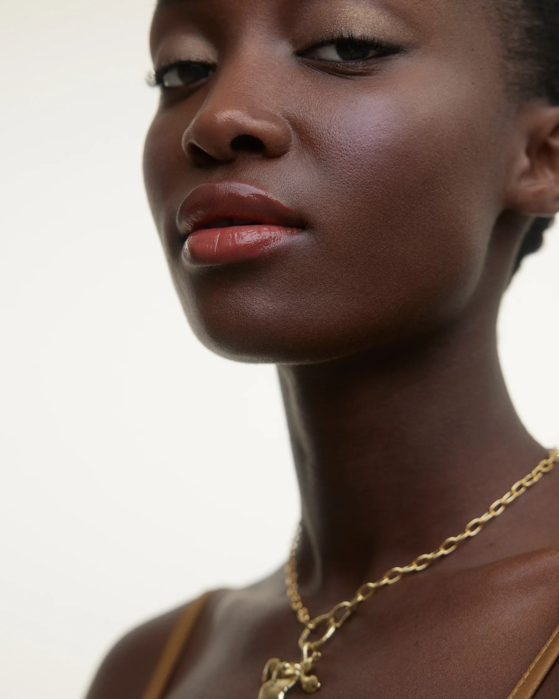 WONDERBLUSH La Laque Tinted Lip Oil - Hydrating & Shiny Lip Gloss in Abricot Nude | Perfect for Daily Wear & Special Occasions