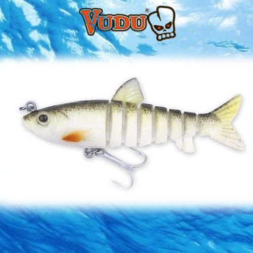 GOLD CROAKER