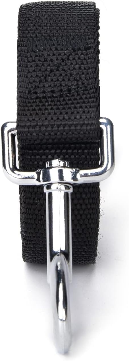 10 Feet Nylon Dog Leash for Small Medium Large Dogs - Durable Puppy Training Lead for Obedience Recall, Walking, Camping & Outdoor Adventures (Black)
