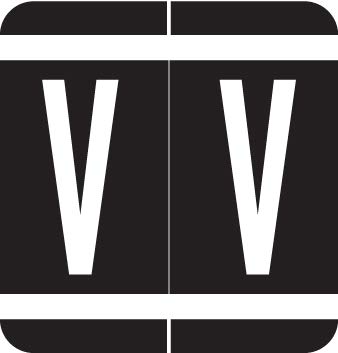 VRAM Series Alphabet Stickers - Letter V, 250/Roll for File Folders