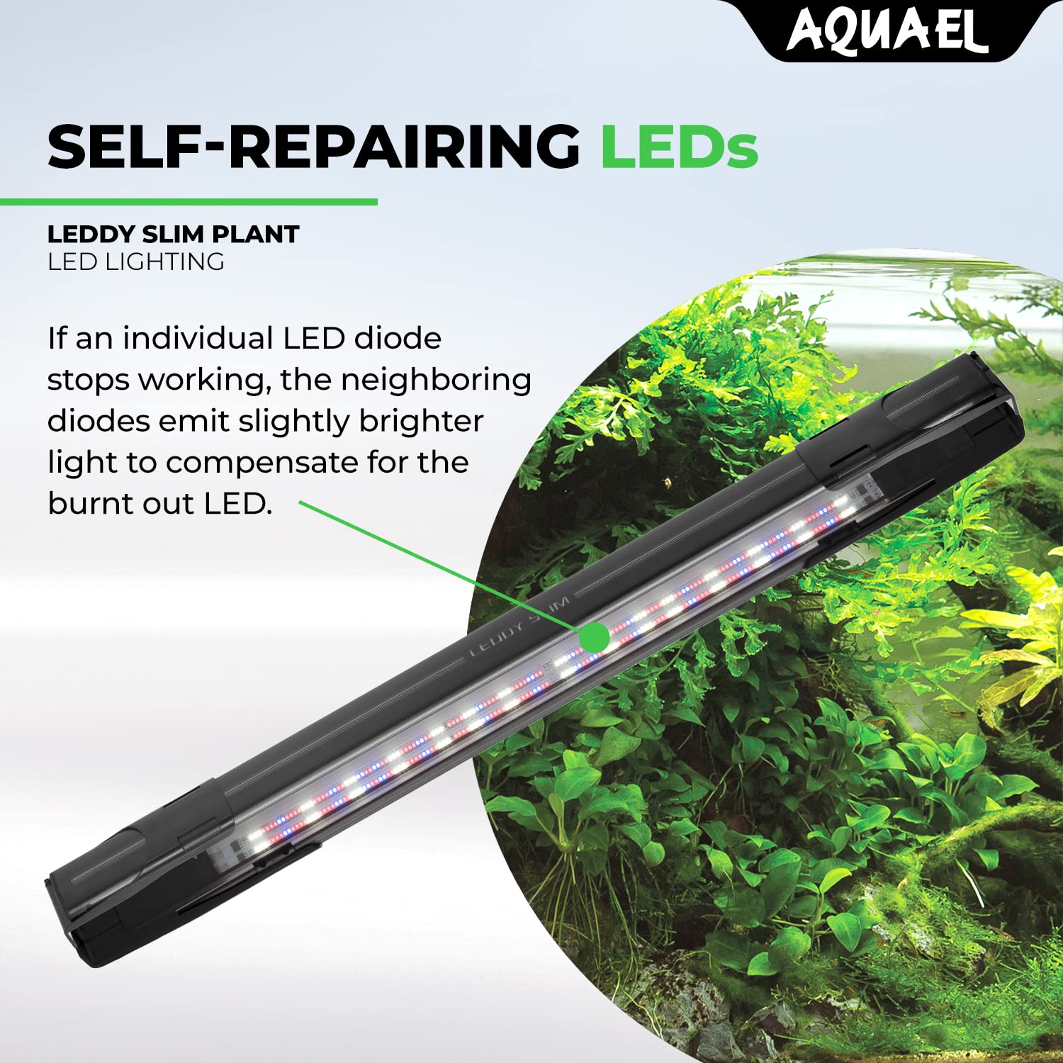Aquael Leddy Slim Plant Premium Aquarium Light - 32W LED Plant Grow Light for 30-40 Inch Fish Tanks (White) - Perfect for Freshwater Planted Aquariums & Aquatic Gardens