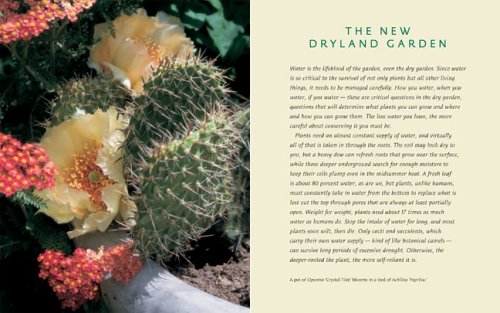 Dryland Gardening: Drought-Tolerant Plants for Tough Conditions - Perfect for Xeriscaping & Low-Water Landscapes