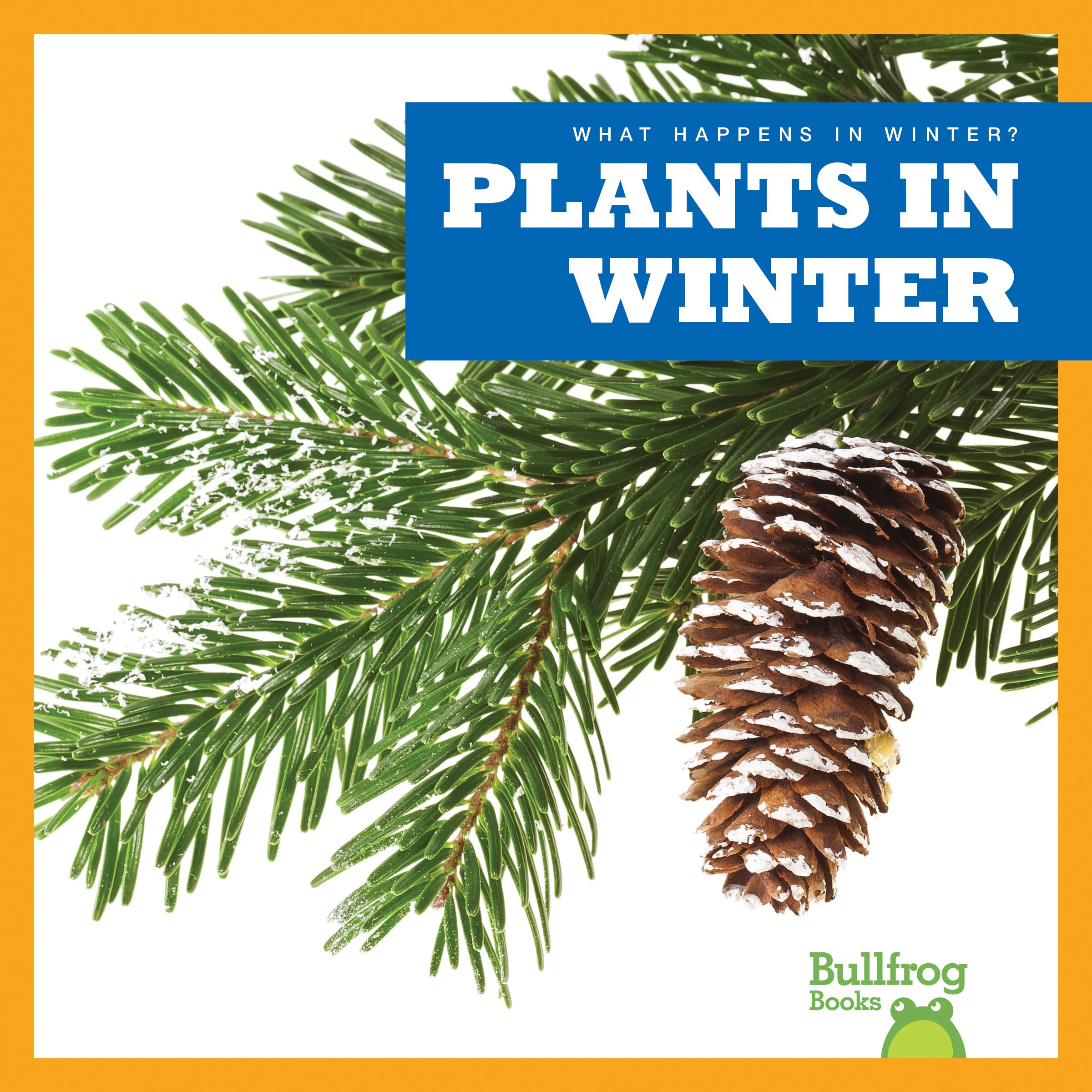 Plants in Winter - Bullfrog Books: Seasonal Changes for Kids | Winter Nature Exploration & Science Learning