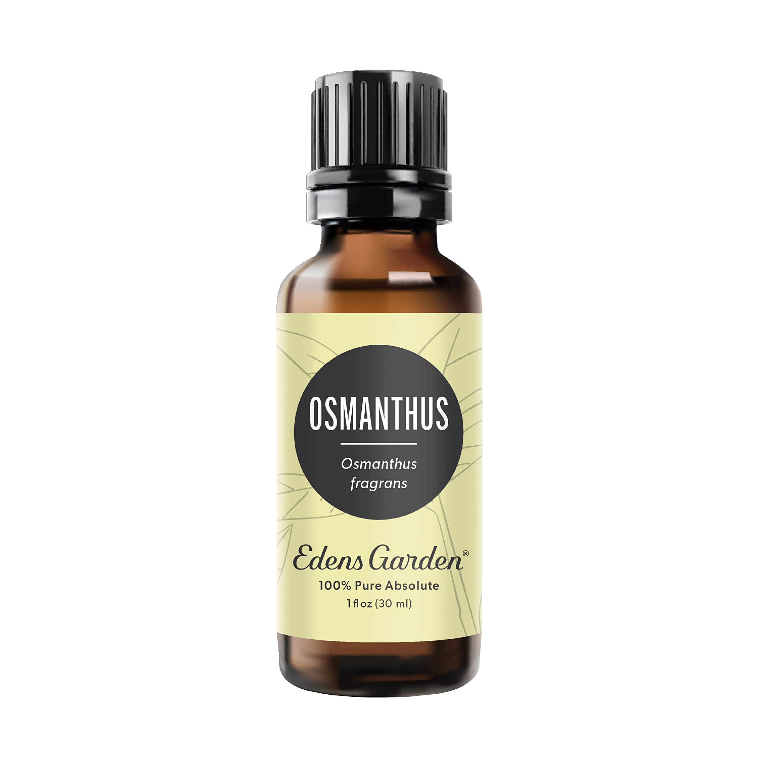 Edens Garden 100% Pure Osmanthus Essential Oil - Premium Grade, Undiluted, Natural Therapeutic Aromatherapy Oil for Diffusers, Skin Care, Face & Hair | 30ml (1 fl oz) | Perfect for Relaxation, Massage & Home Fragrance