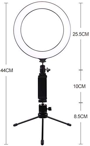 20cm LED Ring Light with Stand & Phone Holder for Live Streaming
