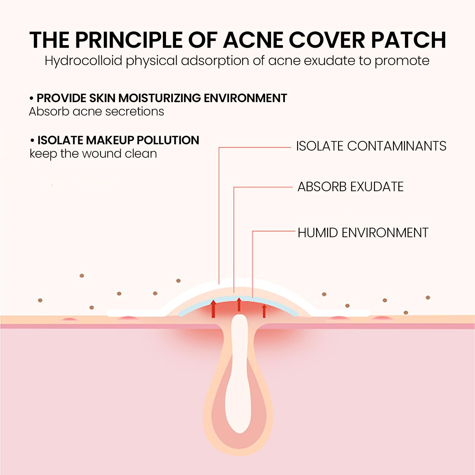 Louatui Star Shaped Hydrocolloid Acne Patches - 400 Pcs Pimple Patches for Face, Zit Absorbing Spot Treatment, Skin Care Stickers (2 Packs) - Perfect for Overnight Acne Treatment & Daily Blemish Cover