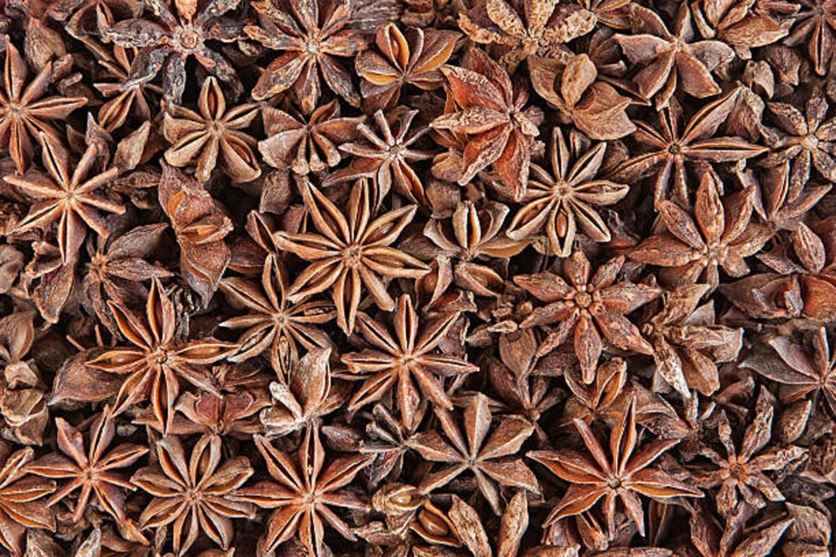 Organic Star Anise Whole Spice - 4 Ounces | Premium Natural Chakri Pool Aniseed | Perfect for Baking, Tea, Mulled Wine & Asian Cuisine