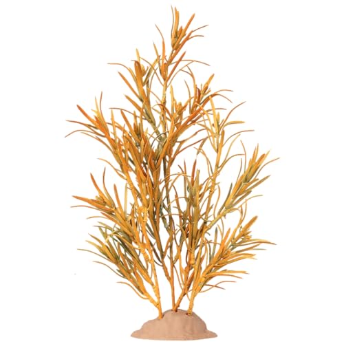 T-fake Yellow Rosemary