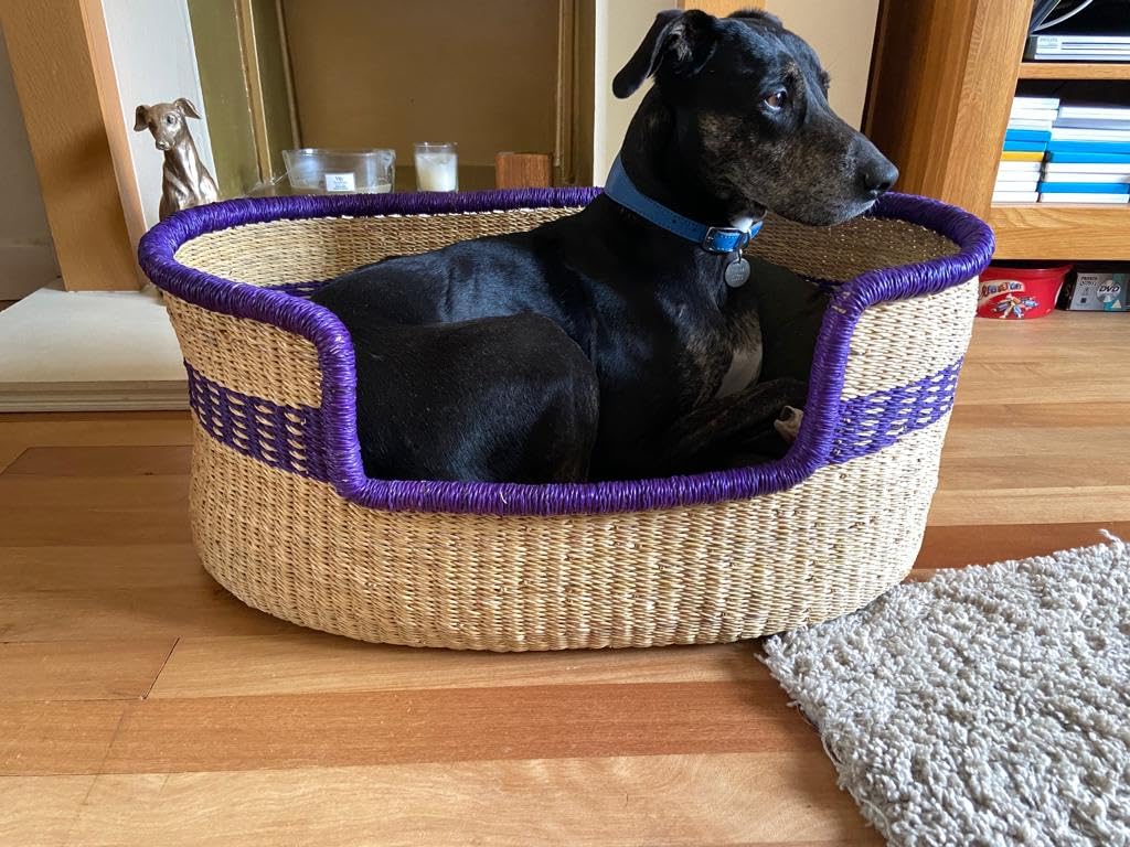Premium Handmade Eco-Friendly Wicker Dog Bed Basket with 3