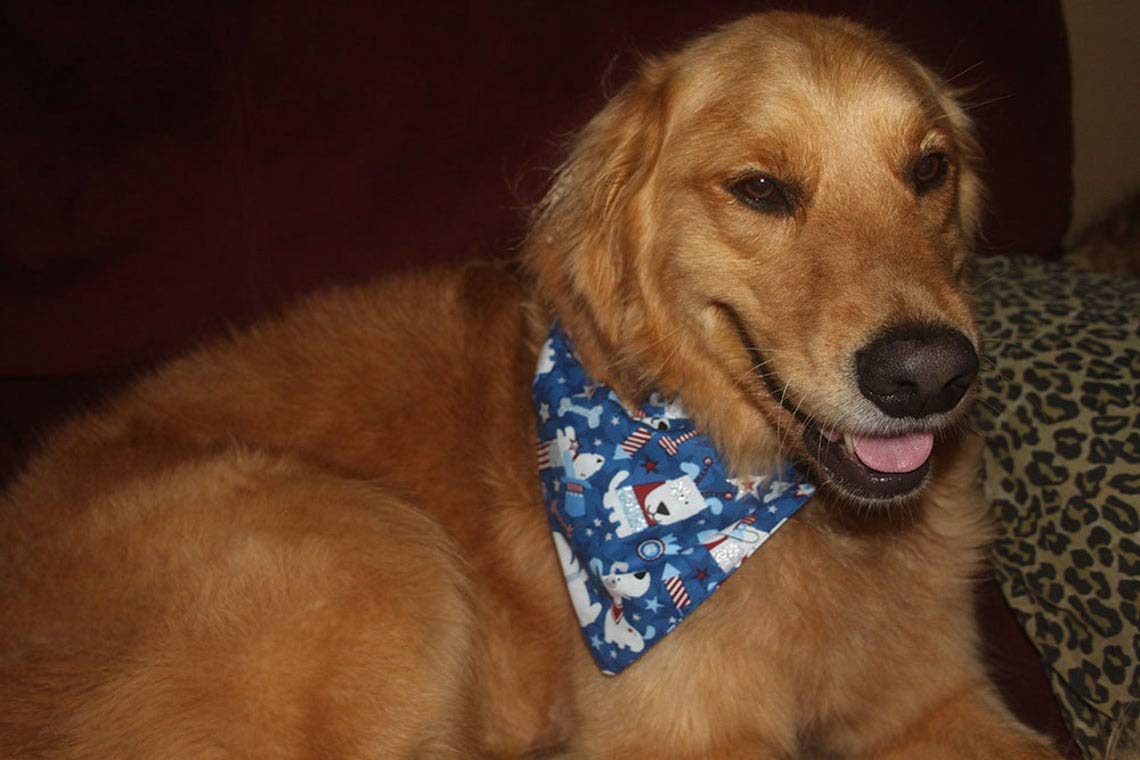 Patriotic Dog Bandana for Small & Large Dogs - Red White & Blue 4th of July Americana Design - Slip Over Collar Bandana for Independence Day, Memorial Day, BBQ Parties & Outdoor Adventures