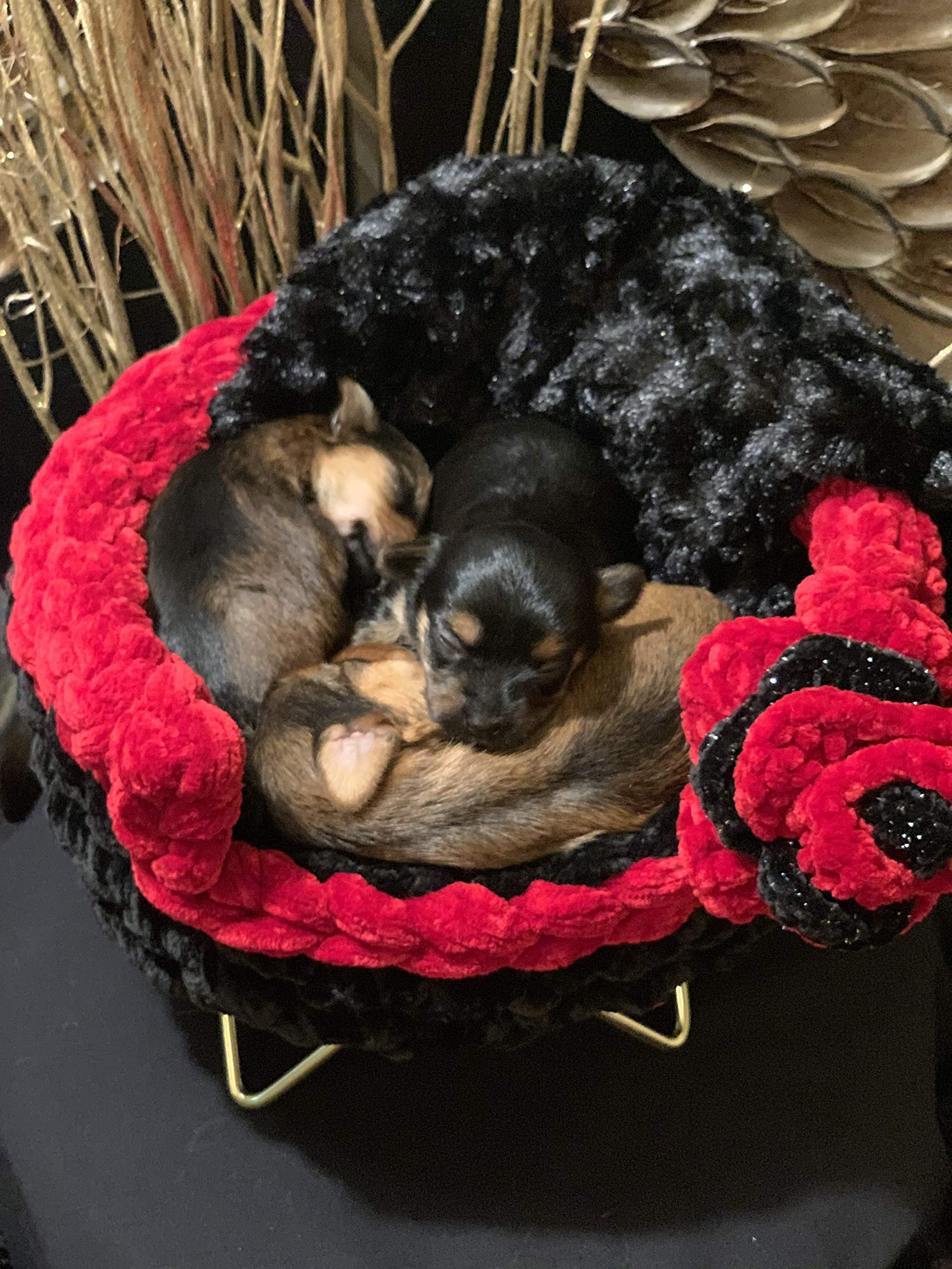 LuxuryPup Crochet Pet Bed - Soft & Cozy Handmade Dog Bed for Small, Medium & Large Dogs - Perfect for Indoor & Outdoor Use, Pet Crate & Travel