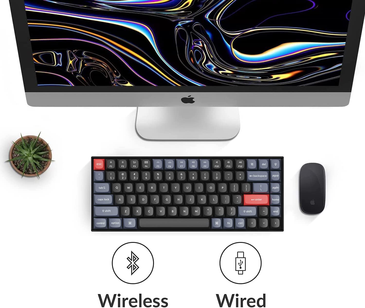 Keychron K2 Pro 75% Wireless Mechanical Keyboard - 84-Key Compact Design, Hot-Swappable Blue Switches, QMK/VIA Programmable, USB-C Wired/Wireless, White Backlit - Compatible with Mac/Windows/PC - Perfect for Gaming, Office Work & Typing Enthusiasts