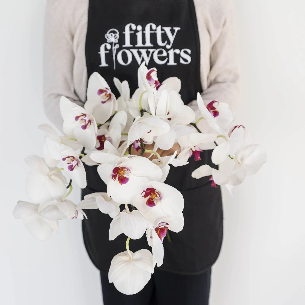 Blush Princess Phalaenopsis Orchid - Elegant Pink Orchid Plant for Home Decor, Wedding Centerpieces & Office Beautification