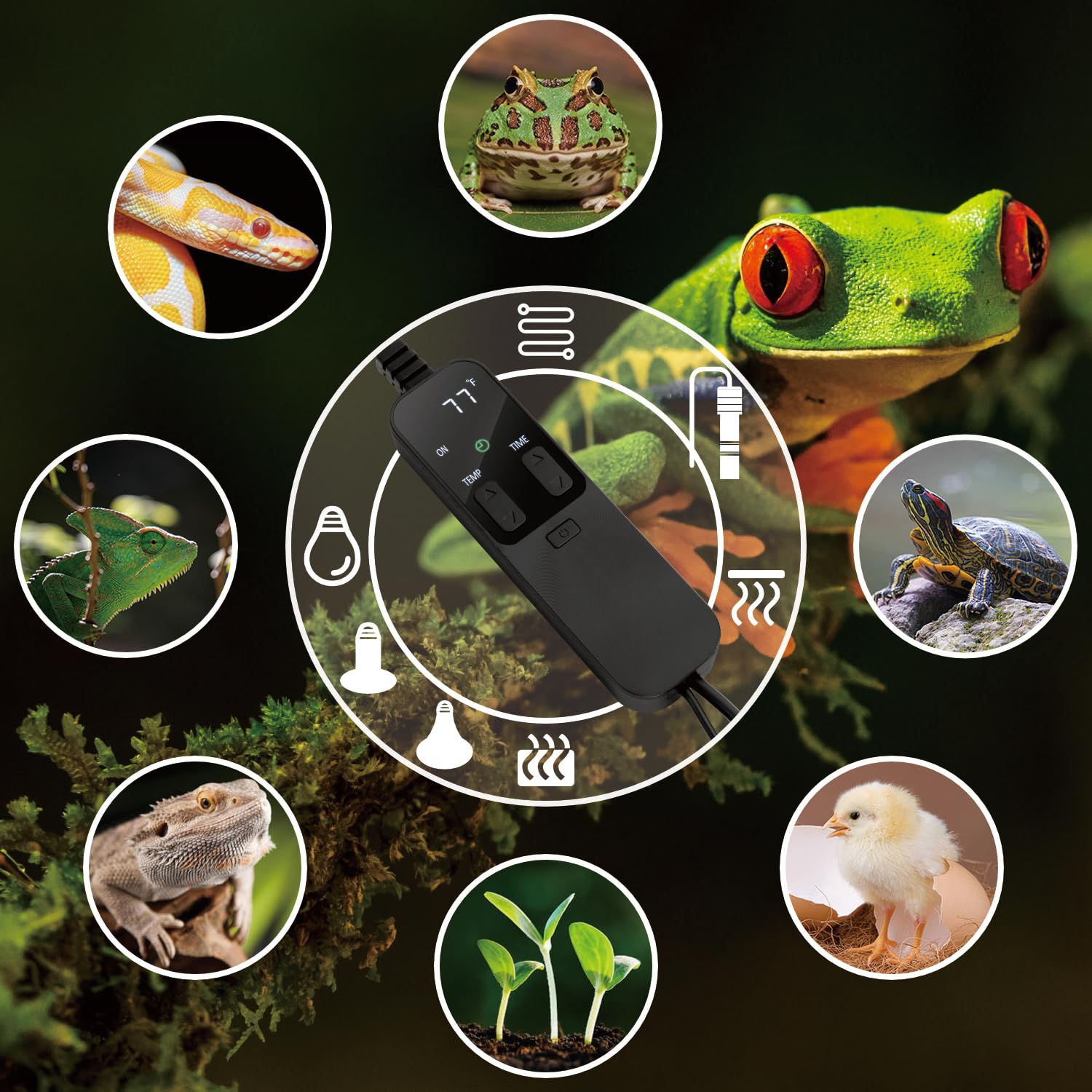Reptile Dimming Thermostat with Timer - Precise Temperature Control for Heat Lamps, Heating Pads & Seedling Mats - Ideal for Terrariums, Reptile Tanks & Plant Nurseries