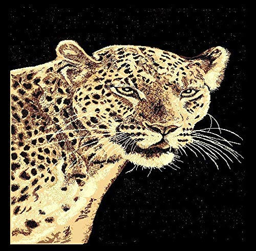 Champion Rugs Modern African Safari Leopard Cheetah Animal Print Carpet - 5'3