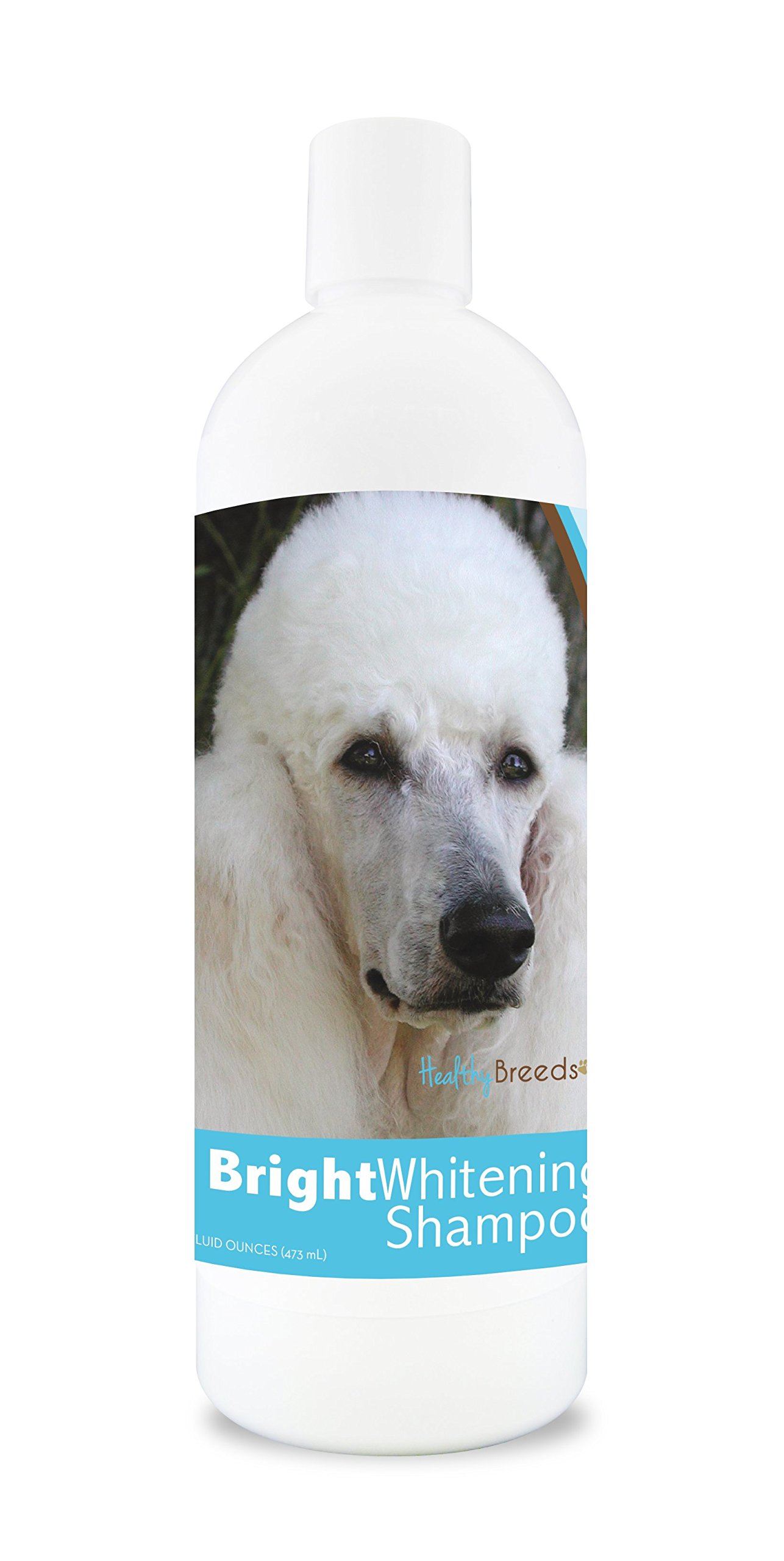 Healthy Breeds Poodle Bright Whitening Shampoo 12 oz - Gentle Whitening & Brightening Dog Shampoo for Poodles - Removes Stains & Enhances Coat Color - Perfect for Show Dogs & Daily Grooming