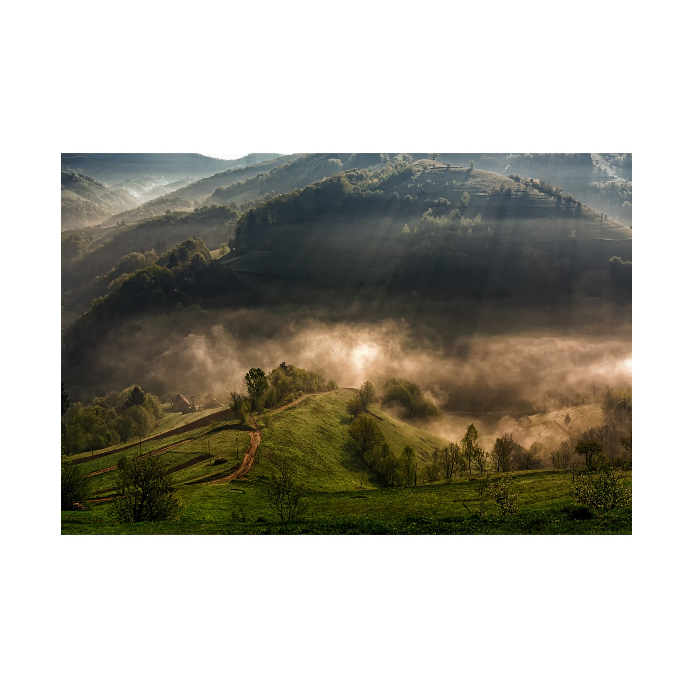 Trademark Fine Art 'Morning Fog' Canvas Print by Mihail Dulu - Landscape Wall Art for Living Room, Bedroom & Office Decor