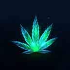 Beautiful Weed Pot