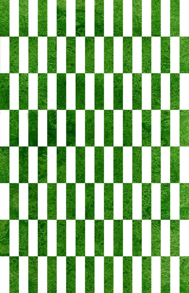 Emerald Green White Buffalo Plaid Washable Area Rug - Soft Checkered Shaggy Carpet for Bedroom, Living Room, Dining Room, Home Office & Kitchen - Indoor Floor Mat 4x6 ft - Perfect for Cozy Winter Decor & Farmhouse Style Homes