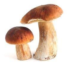 Premium Italian Porcini Mushrooms - Whole, Fresh or Frozen, 4lb Bulk Pack | Perfect for Risotto, Pasta & Gourmet Cooking