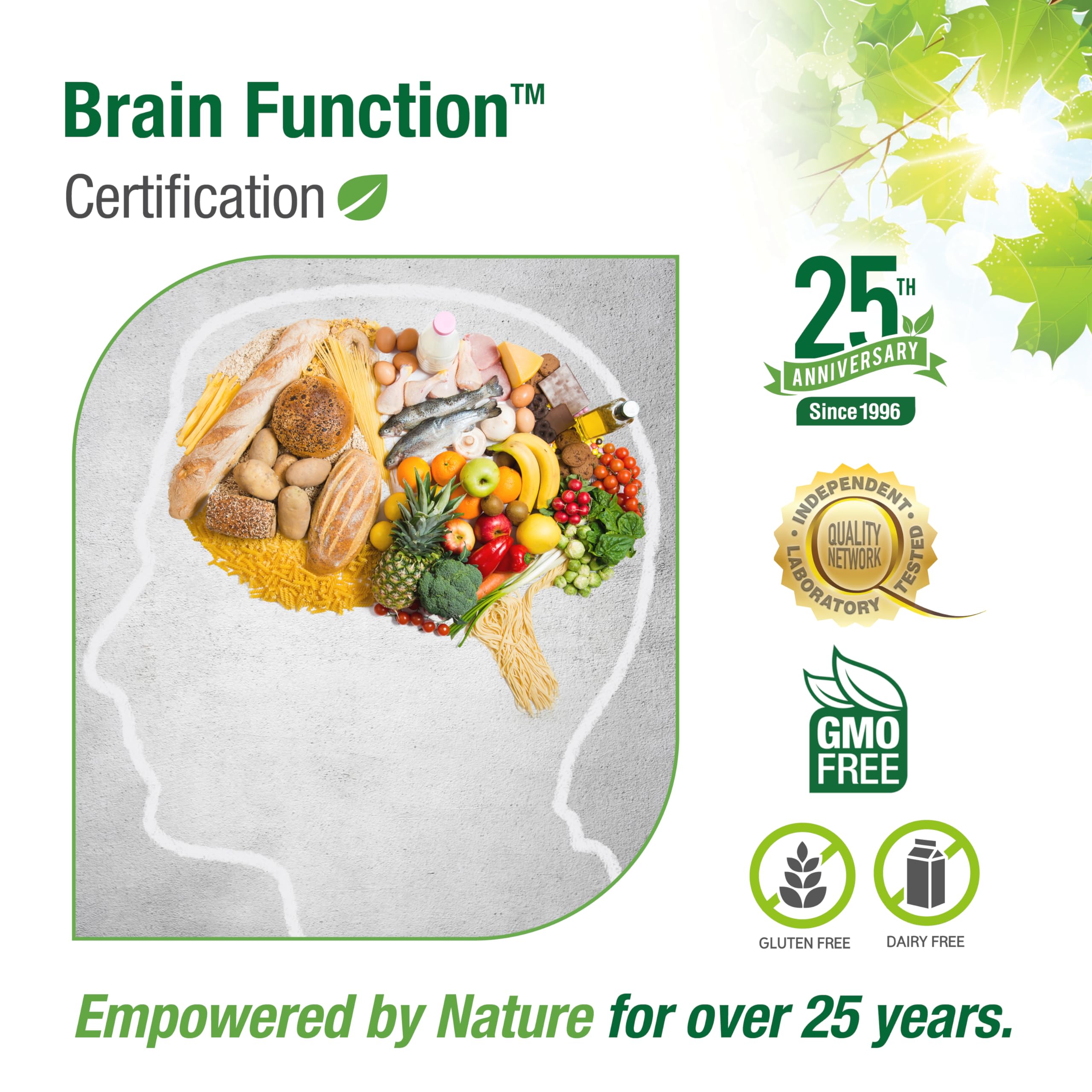 BELL Brain Function Supplement - 60 Capsules for Memory, Focus & Cognitive Support - Enhance Mental Clarity & Concentration for Work & Study