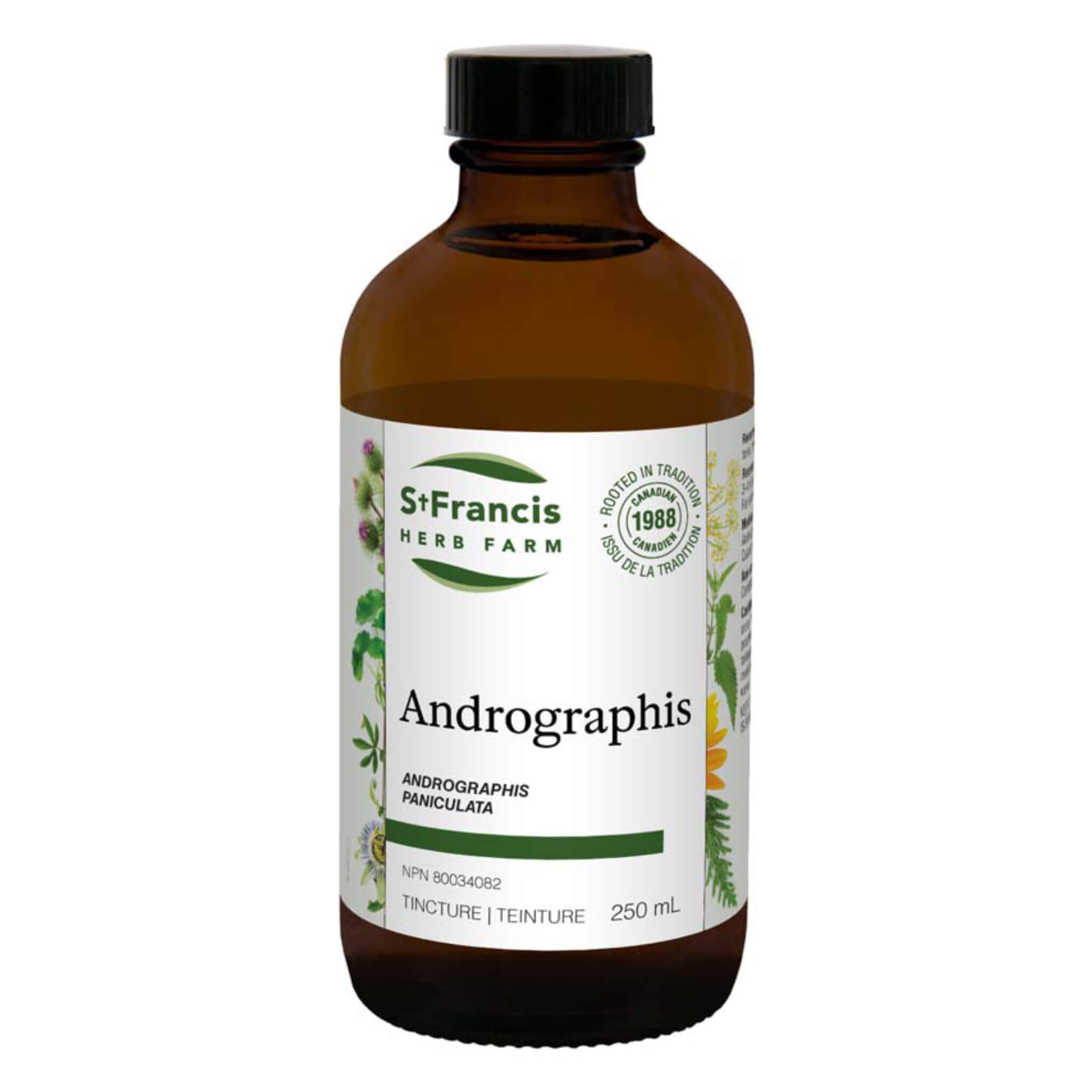 Organic Andrographis Paniculata Extract Powder - Immune Support Supplement for Cold & Flu Relief - Herbal Remedy for Respiratory Health & Detox - Use in Teas, Smoothies, or Capsules