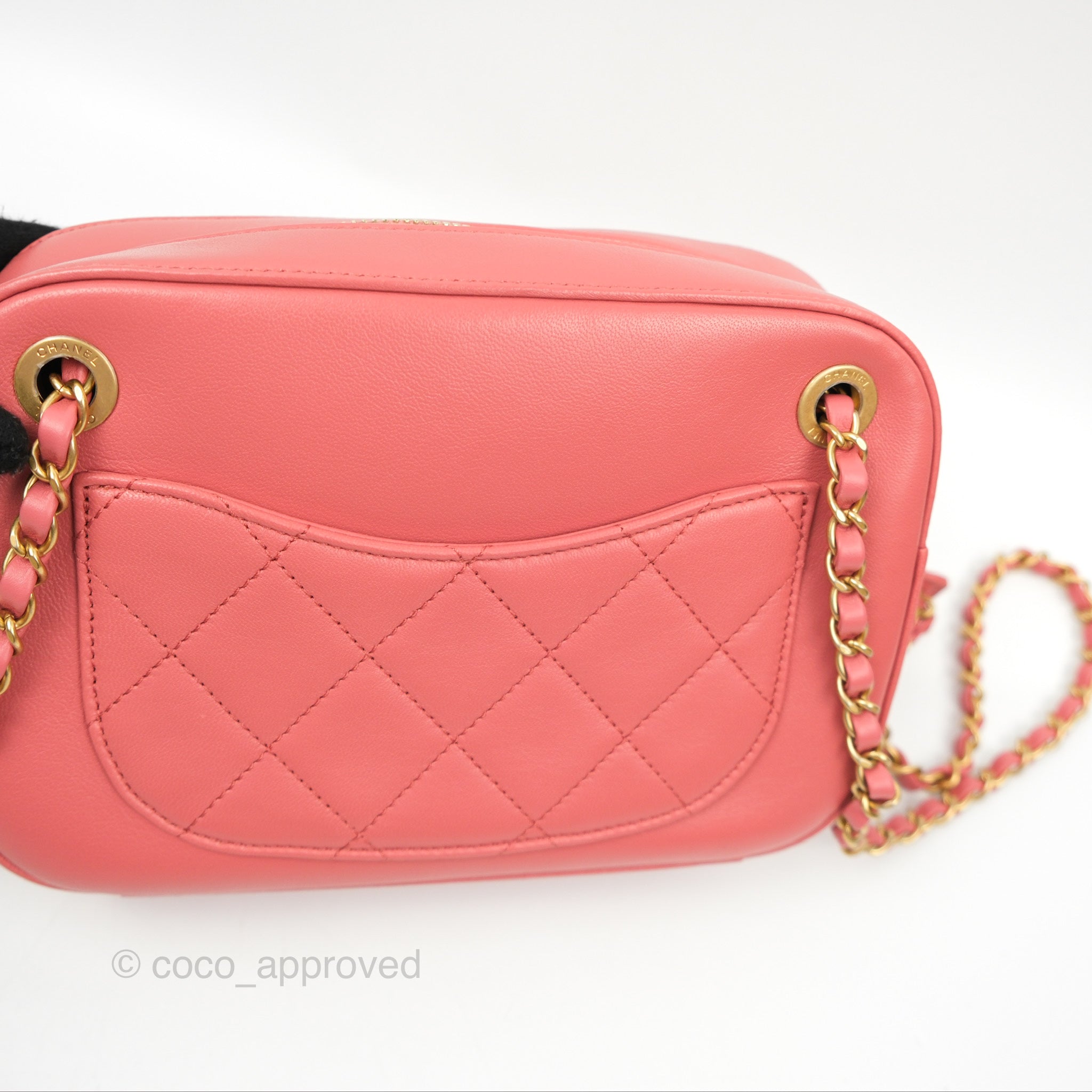 Chanel Pink Goatskin Camera Bag with Aged Gold Chain Strap - Luxury Crossbody Bag for Women, Perfect for Parties & Date Nights