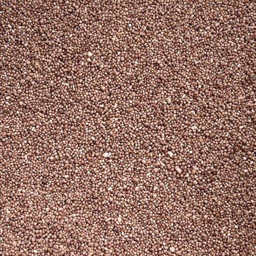 Pecan