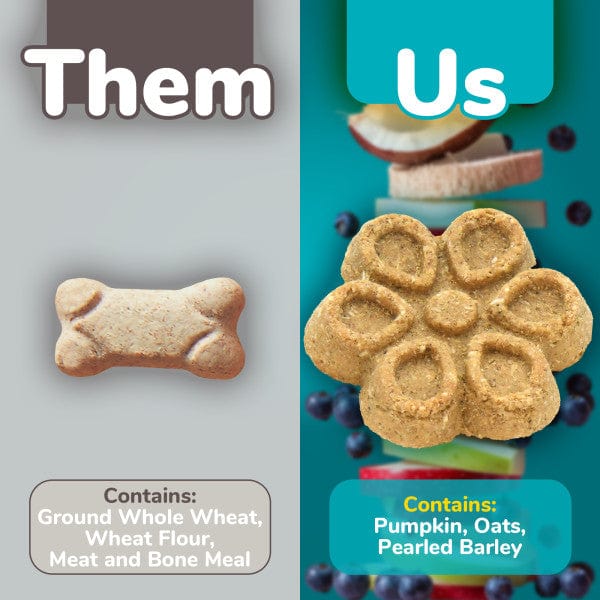 Fruitables Biggies Almond Butter & Coconut Dog Treats - Healthy Natural Snacks for Large Dogs - Perfect for Training, Rewards & Dental Care