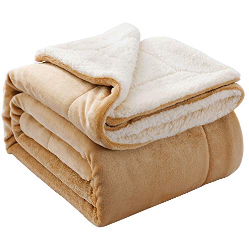 Beige New