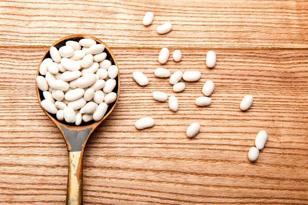 Food to Live Organic Cannellini Beans 15lbs | Non-GMO Dried White Kidney Beans | Sproutable Vegan Kosher Bulk Beans | High in Fiber & Protein | Perfect for Minestrone Soup, Bean Salad & Healthy Meal Prep