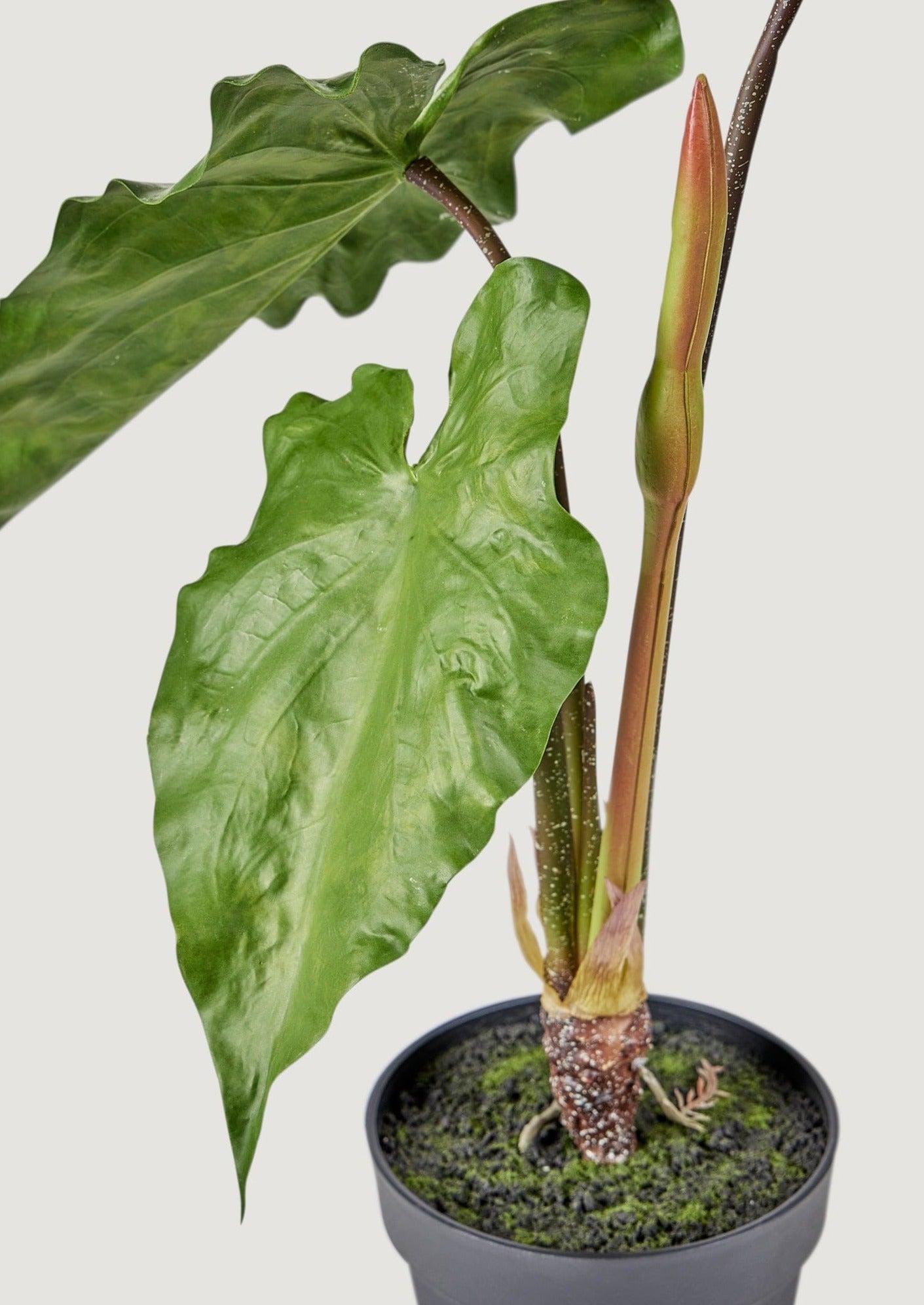 Artificial Tropical Alocasia Potted Plant - 27