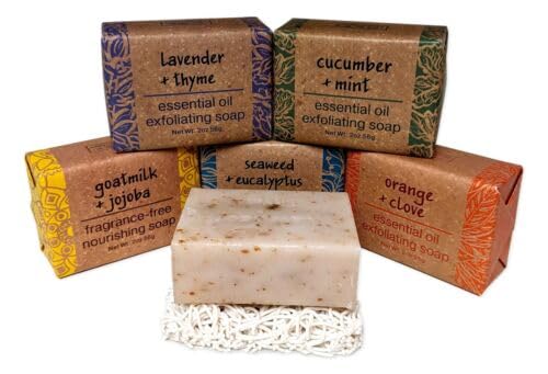 Set of 5 Greenwich Bay Shea Butter Essential Oil Bar Soap 2 oz with Soap Saver - Moisturizing Hand & Body Soap for Dry Skin - Perfect for Bath, Shower & Gift Giving