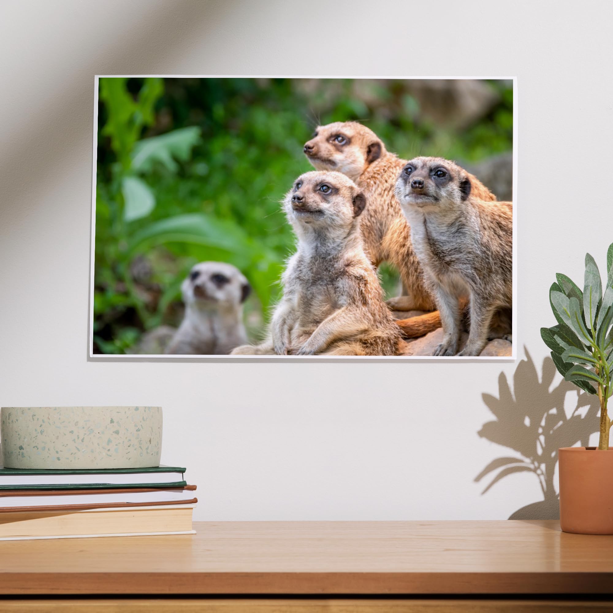 Lantern Press 12x18 Inch Meerkats Art Print - Premium Wall Decor for Living Room, Bedroom & Office - Wildlife Animal Photography Poster