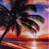 04 Sunset Beach