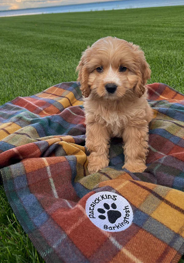 Premium Pet Blanket in Antique Buchanan Tartan Plaid - Soft & Cozy Dog & Cat Blanket for Beds, Couches & Travel | Machine Washable