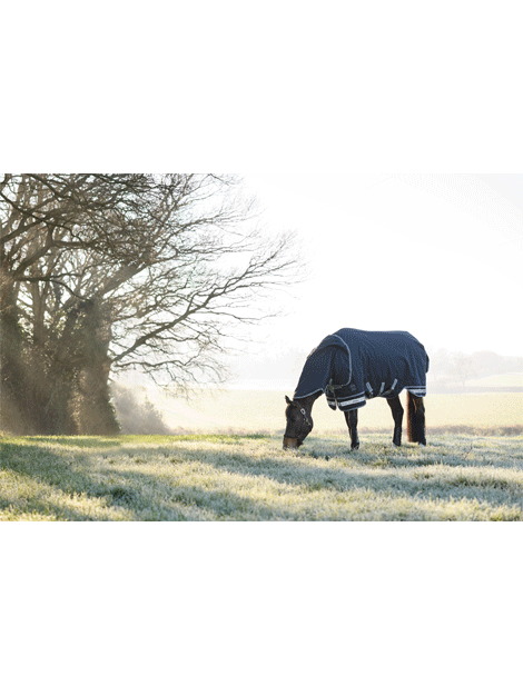Arika Storm Tek Rug 100g Waterproof Turnout Blanket for Horses - Perfect for Winter Riding, Stable Use & Outdoor Protection
