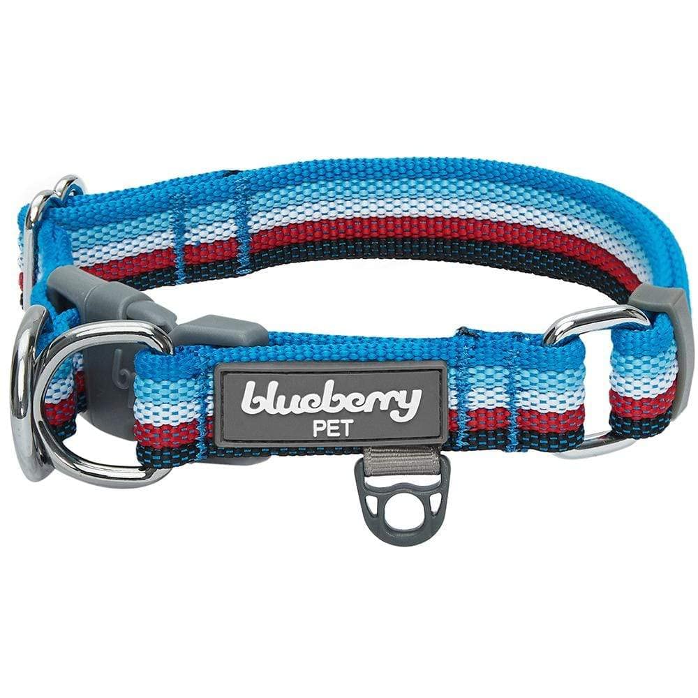 Blueberry Pet 3M Reflective Dog Collar - Adjustable Nylon Collar with Multi-Colored Stripes (Azure Blue & Raspberry Red) for Small to X-Large Dogs | High Visibility Safety Collar for Night Walks, Jogging & Outdoor Adventures