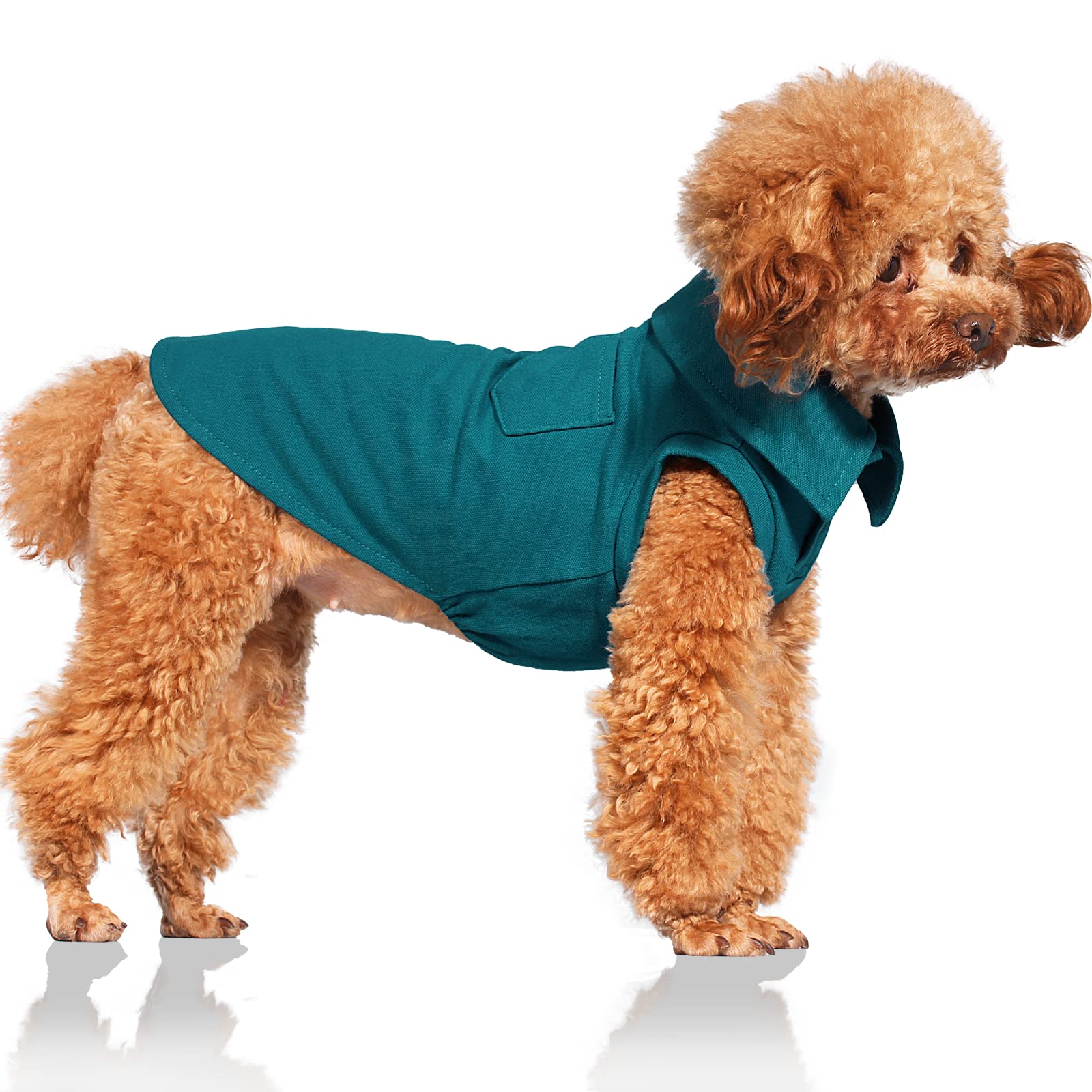 Stylish Dog T-Shirt for Small & Medium Dogs - Breathable Pet Clothes for Spring Summer Autumn - Indoor & Outdoor Activities - Blue Color Size S - Perfect for Walks, Playtime & Photo Shoots