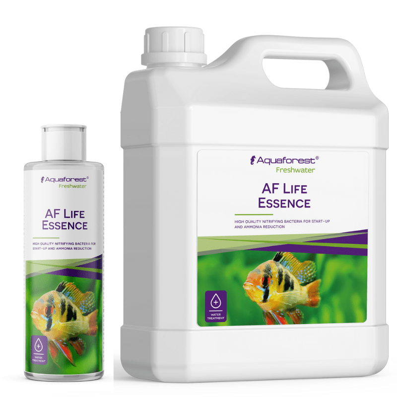 Aquaforest Life Essence - Premium Beneficial Bacteria for Healthy Fish Tanks | Supports Water Clarity & Fish Health | Ideal for Freshwater & Saltwater Aquariums