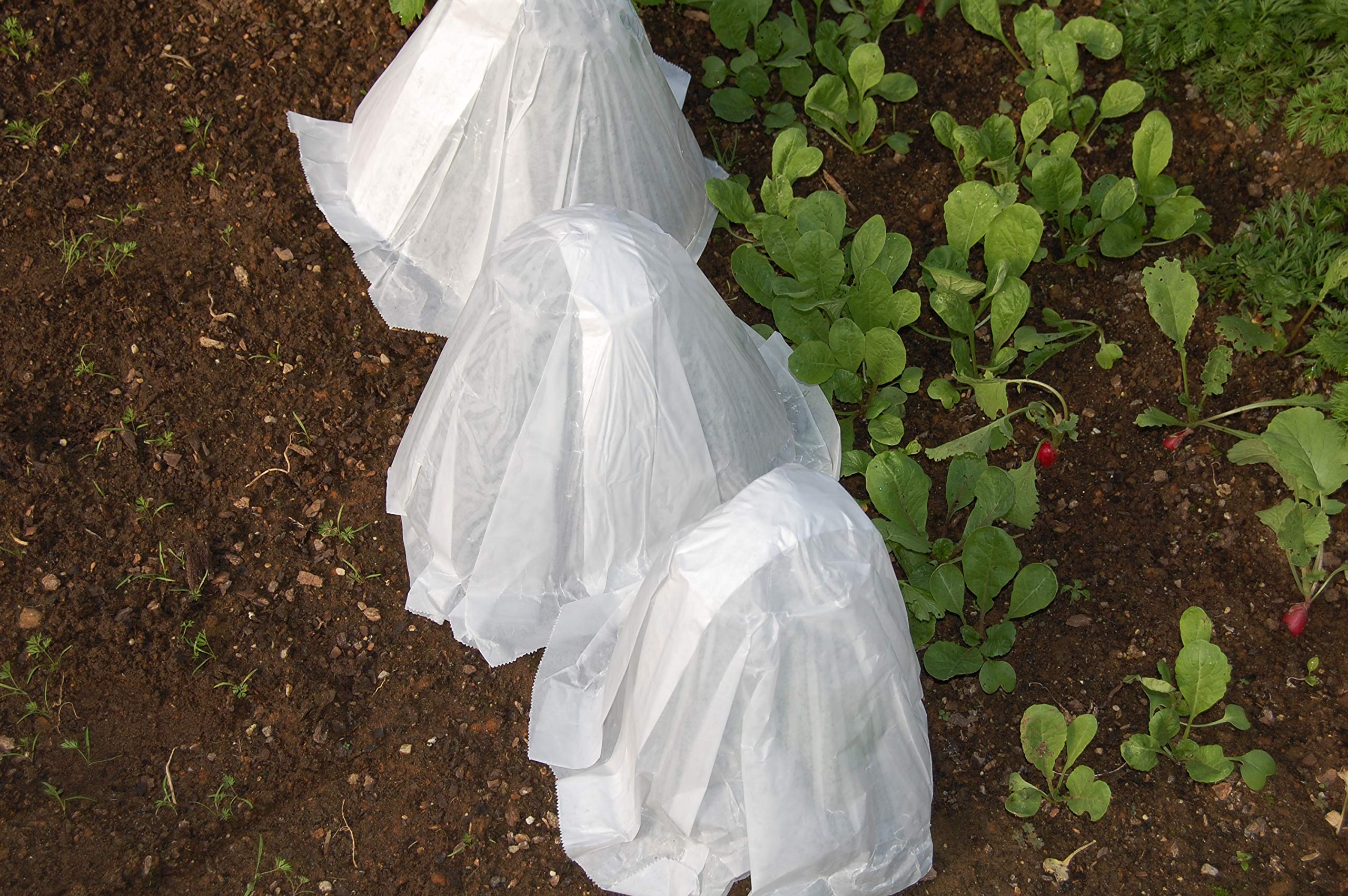 Grower's Solution Hot KAPS King Size Plant Covers - 500 Pack | Frost Protection & Season Extension for Vegetables, Flowers & Crops