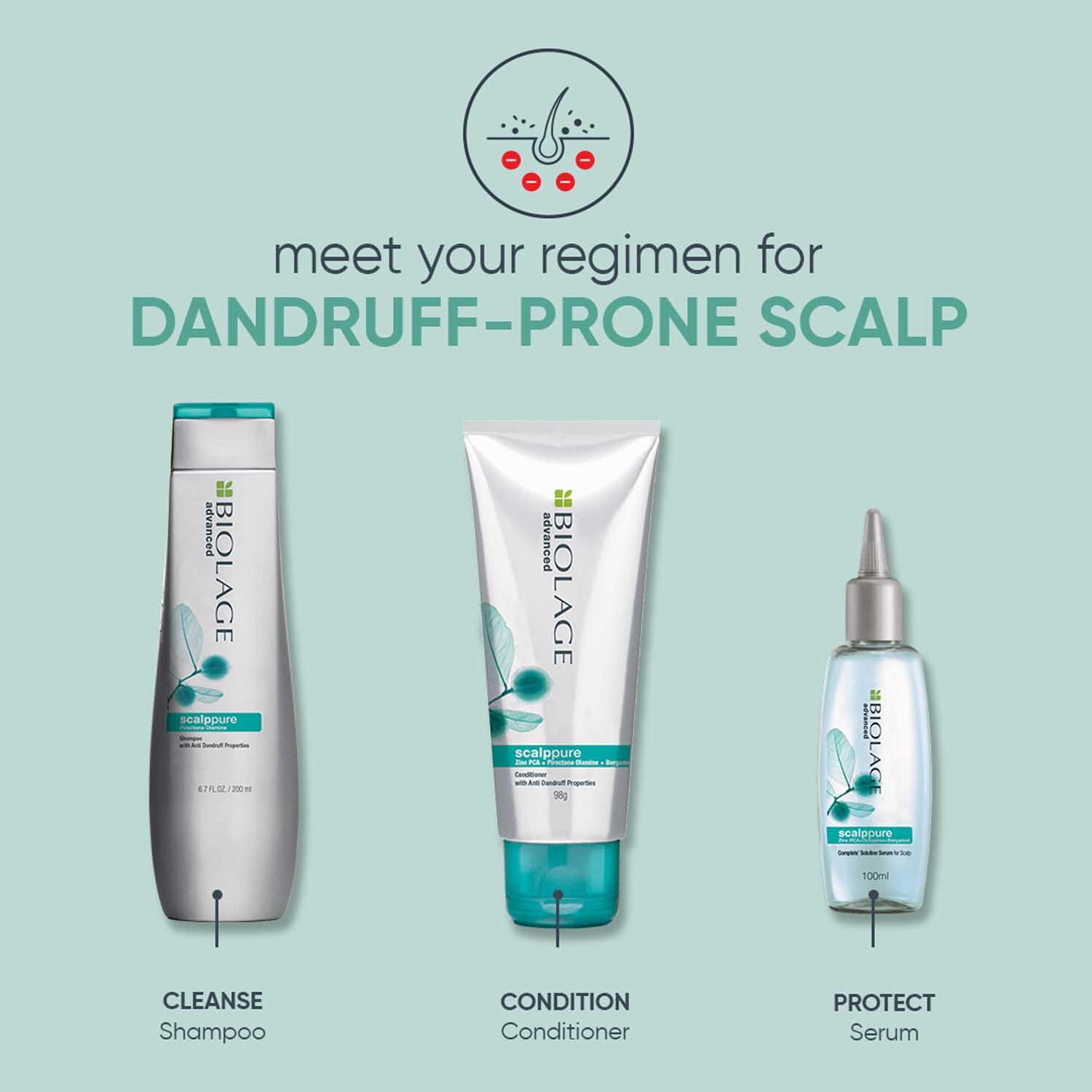 Biolage Professional Scalppure Anti-Dandruff Shampoo for Dry & Itchy Scalp - Flake-Free Hair Care with Pyrithione Zinc - Ideal for Daily Use & Sensitive Scalp