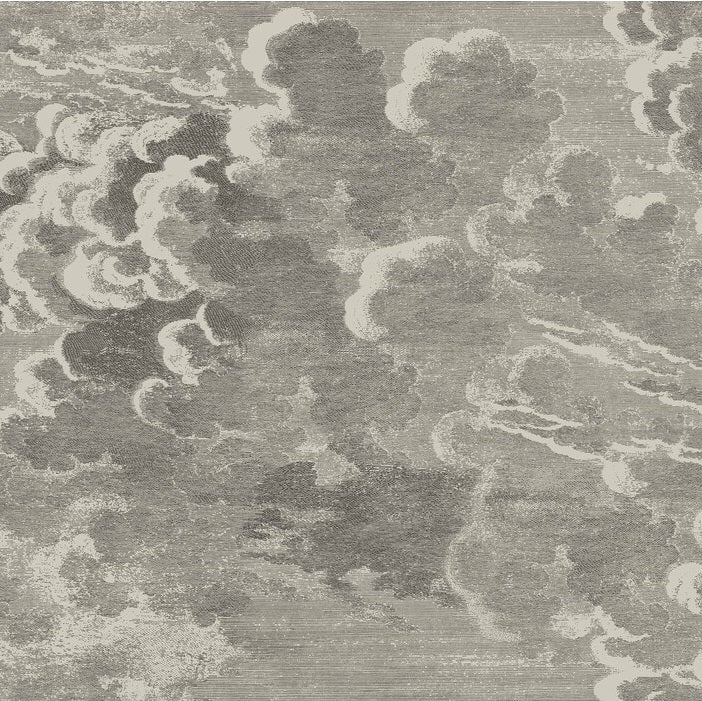 Cole & Son Wallpaper - Nuvolette, Gilver & Charcoal Print (114/2004) | Premium Peel & Stick Wallpaper for Living Room, Bedroom & Home Decor