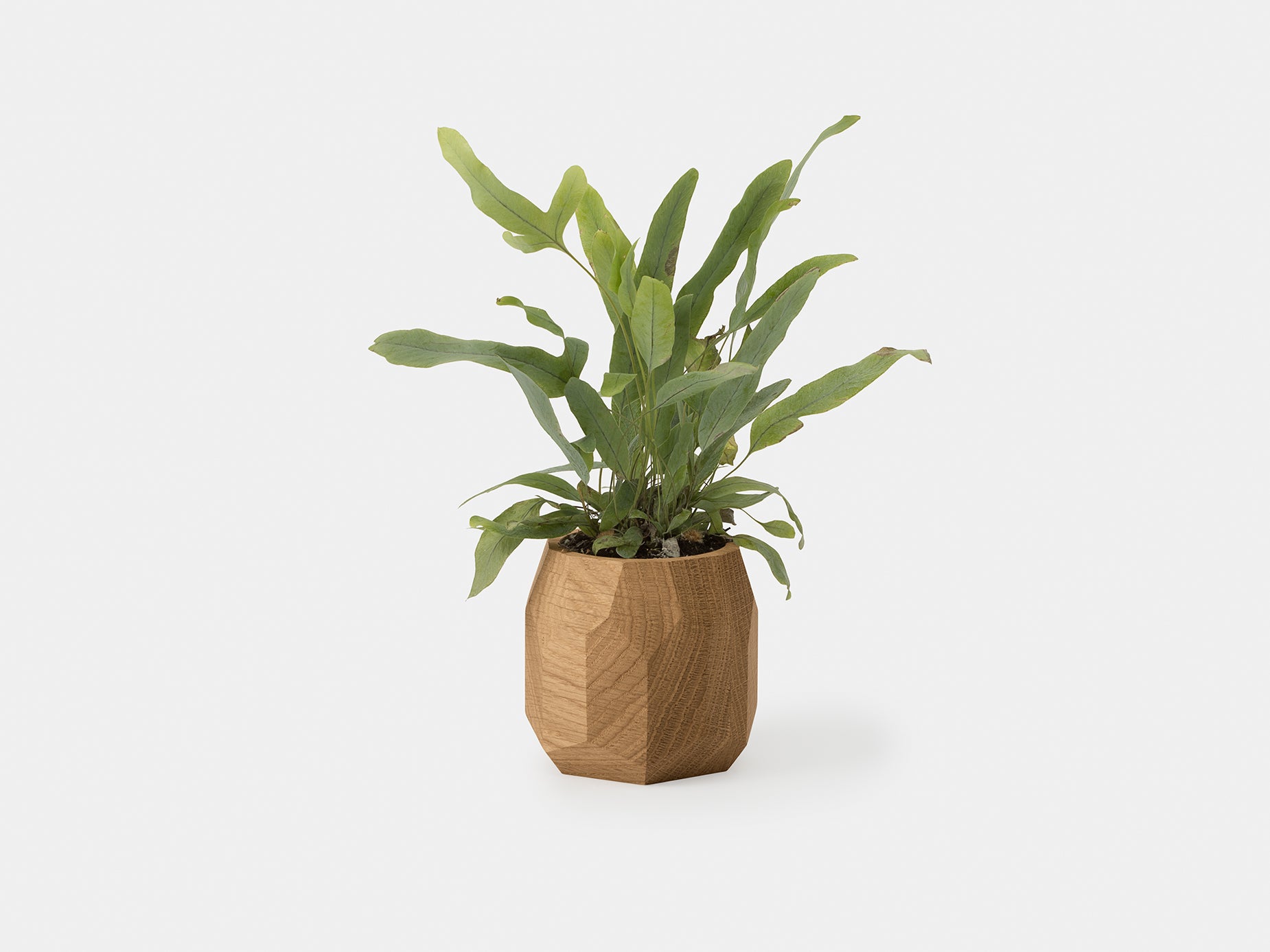 Geometric Ceramic Plant Pot - Modern Home Decor for Succulents, Flowers & Indoor Plants | Perfect for Living Room, Office & Garden Decor